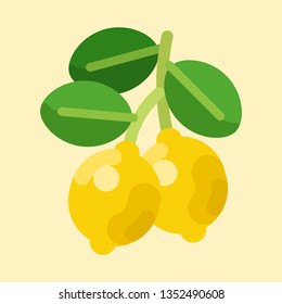 Lemon Fruit 3
