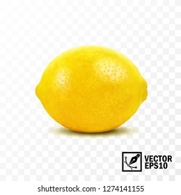 Lemon fruit, 3D realistic isolated vector, editable handmade mesh