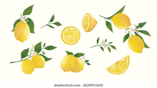  Lemon Fruit and Blossom Watercolor Illustration Set. Ideal for packaging design, kitchen decor, recipe books, invitations, and botanical-themed projects. 