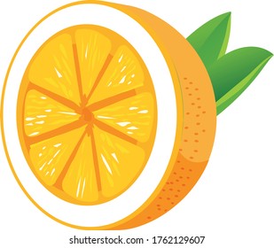 Lemon Fruit Citrus Vector Illustration