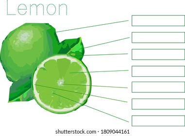 Lemon fruit component, Fill in the blank, Quiz, Concept of food education. Vector illustration.