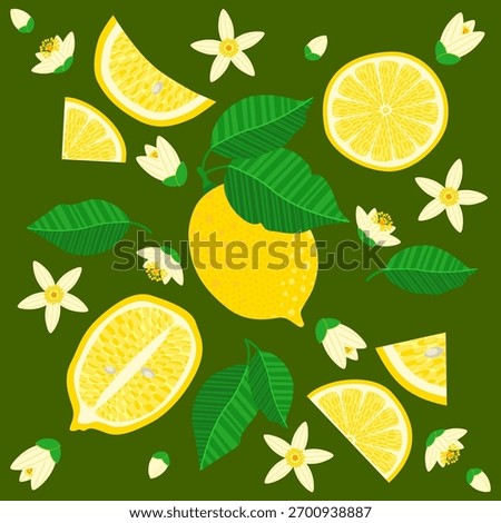 Lemon fruit composition with slices, leaves, and white citrus blossoms on a greenish background in flat vector style. Perfect for tropical posters, organic product packaging, or summer-themed designs.