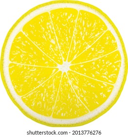 Lemon fruit concept on hit background