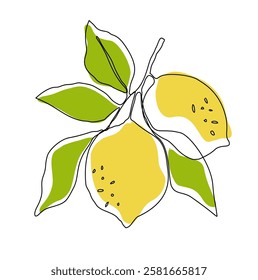 Lemon fruit in continuous line art drawing style. Orange fruit concept accompanied by lemon fruit in line art drawing. Vector art illustration.