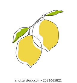 Lemon fruit in continuous line art drawing style. Orange fruit concept accompanied by lemon fruit in line art drawing. Vector art illustration.