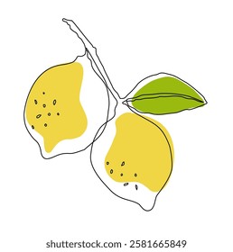 Lemon fruit in continuous line art drawing style. Orange fruit concept accompanied by lemon fruit in line art drawing. Vector art illustration.