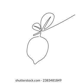 Lemon fruit in continuous one line drawing. Lime food healthy concept. Vector illustration isolated. Minimalist design handdrawn.