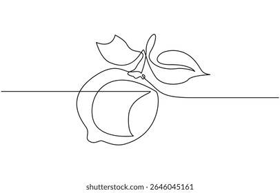 Lemon fruit continuous one line drawing minimalism design, Lemon yellow continuous one line drawing set isolated, of lemon lime fresh summer fruit vector illustration.