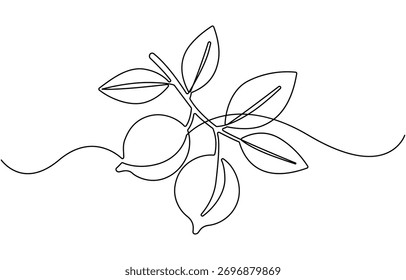 Lemon fruit continuous one line drawing.