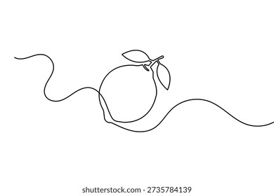 Lemon fruit continuous one line drawing in a minimalist style isolated on a white background