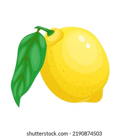 lemon fruit cut cartoon. citrus slice, fresh yellow food, green leaf lemon fruit cut vector illustration