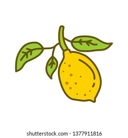 Lemon Fruit Design Template Vector Flat