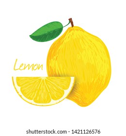 Lemon, fruit doodle drawings vector illustration.