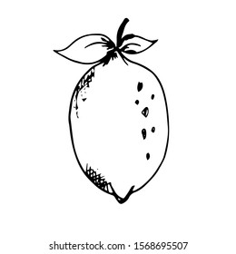 Lemon Fruit Doodle Icon Vector Simple Design