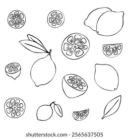 Lemon fruit doodle set. Half, whole, slices, leaves. Black hand-drawn contour isolated on a white background. Suitable for menus, coloring pages books, web design, prints, cups, mugs, kitchen design