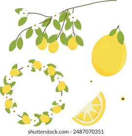 Ilustración vectorial de Elementos de fruta de limón 