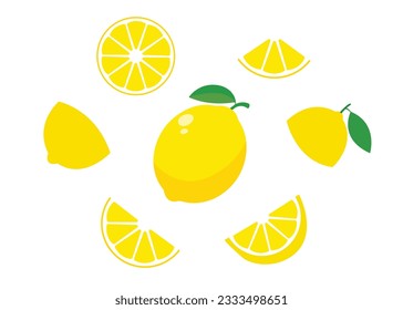 Lemon fruit elements vector set