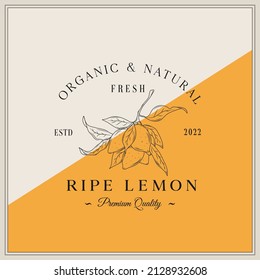 Firma de vectores, símbolo o plantilla de logotipo de las granjas de fruta de limón. Lemones dibujados a mano con bosquejo de hojas con tipografía retro. Viejo Emblema De Lujo. Aislado.