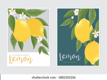 Lemon fruit with flower background template. Vector set of lemon element for advertising, holiday invitations, greeting card and fashion design.