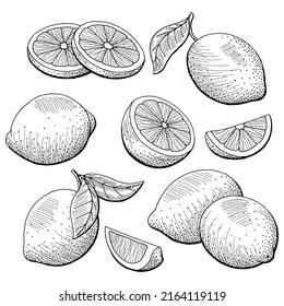 Lemon fruit graphic black white isolated sketch illustration vector 