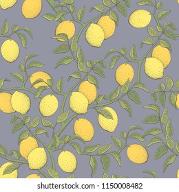 Lemon fruit graphic color seamless pattern background sketch illustration vector