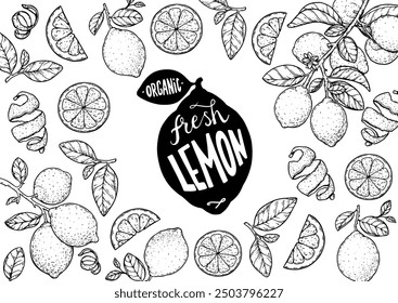 Diseño dibujado a mano de fruta de limón. Ilustración vectorial. Diseño, paquete, ilustración de folleto. Ilustración de marco de fruta de limón. Elementos de diseño para el diseño de envases y otros.