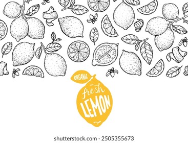 Lemon fruit hand drawn design. Vector illustration. Design, package, brochure illustration. Lemon fruit frame illustration. Design elements for packaging design and other.