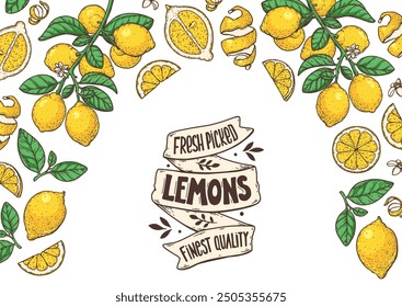 Lemon fruit hand drawn design. Vector illustration. Design, package, brochure illustration. Lemon fruit frame illustration. Design elements for packaging design and other