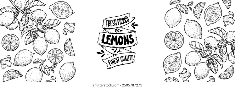 Lemon fruit hand drawn design. Vector illustration. Design, package, brochure illustration. Lemon fruit frame illustration. Design elements for packaging design and other.	