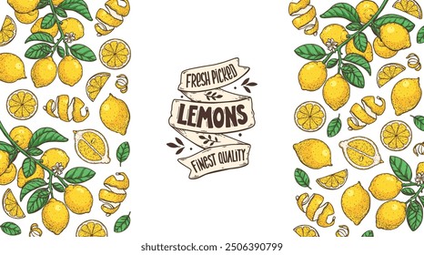 Lemon fruit hand drawn design. Vector illustration. Design, package, brochure illustration. Lemon fruit frame illustration. Design elements for packaging design and other