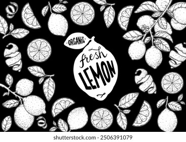 Lemon fruit hand drawn design. Vector illustration. Design, package, brochure illustration. Lemon fruit frame illustration. Design elements for packaging design and other.