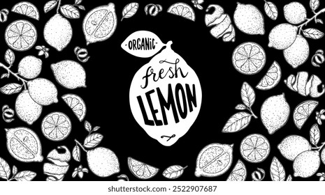 Lemon fruit hand drawn design. Vector illustration. Design, package, brochure illustration. Lemon fruit frame illustration. Design elements for packaging design and other.