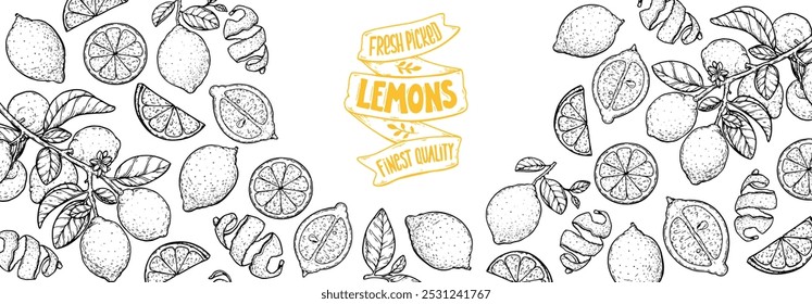 Diseño dibujado a mano de fruta de limón. Ilustración vectorial. Diseño, paquete, ilustración de folleto. Ilustración de marco de fruta de limón. Elementos de diseño para el diseño de envases y otros.