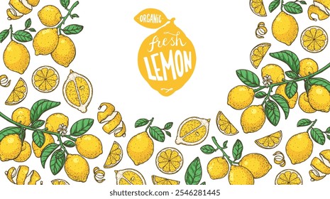 Lemon fruit hand drawn design. Vector illustration. Design, package, brochure illustration. Lemon fruit frame illustration. Design elements for packaging design and other