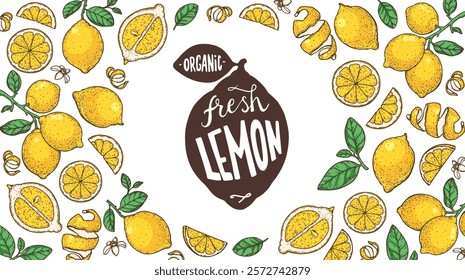 Lemon fruit hand drawn design. Vector illustration. Design, package, brochure illustration. Lemon fruit frame illustration. Design elements for packaging design and other.	