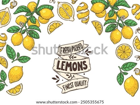 Lemon fruit hand drawn design. Vector illustration. Design, package, brochure illustration. Lemon fruit frame illustration. Design elements for packaging design and other