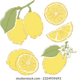 Dibujos de doodle a mano de fruta de limón conjunto de vectores
