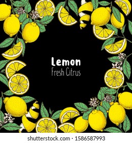 Lemon fruit hand drawn package design. Lemon tree frame template. Vector illustration. Menu design, brochure illustration. Colorful design. Citrus pattern illustration. Can used for packaging design