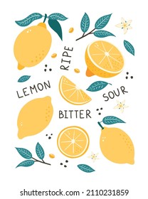 Lemon Fruit Hand Drawn Poster. Doodle style citrus, leaves, seeds and blossoms vector illustration for logo, print, banner, background, wrapping paper, label, menu, food package design and decoration