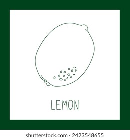 Lemon fruit hand drawn vector line illustration. Healthy natural plant, cooking, aromatherapy, garden, medicinal. Outline sketch floral doodle