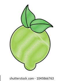 lemon fruit icon