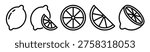 Lemon fruit icon collection with whole lemon, wedges and slices. Outline pictograms with contour and editable stroke. Food and citrus concept.