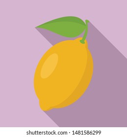 Lemon fruit icon. Flat illustration of lemon fruit vector icon for web design