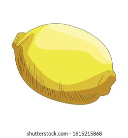 lemon fruit icon over white background, vector illustration