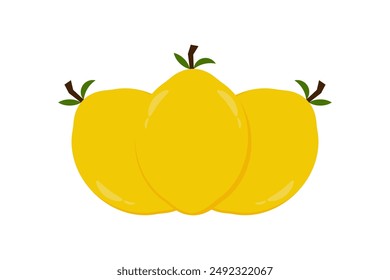 Lemon fruit icon vector illustration. Illustration Lemon isolated on white backgrounds