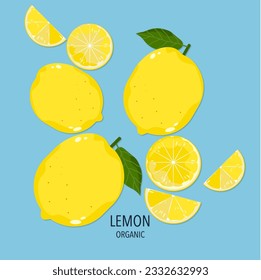 Lemon fruit illustration split oranges on a white background Seasonal fruits. Tropical. Isolated image, flat vector illustration.
