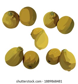 Lemon Fruit Illustration Vector Set Taken Several Angles Isolated On White Background Good To Use For Food Magazine, Brochure And Ingredients