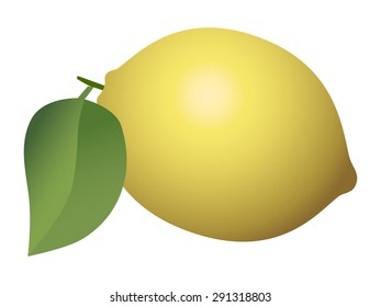 Lemon fruit isolated on white background