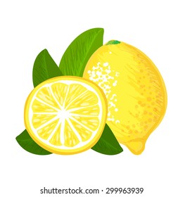Lemon fruit isolated vector hand drawing illustration