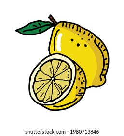 Lemon fruit isolated vector illustration on white background